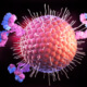Shingles Research - Varicella Zoster Virus